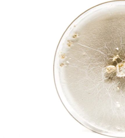 Grow Bags, Farm & Cultivation Products