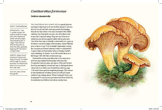 Field Notes From A Fungi Forager