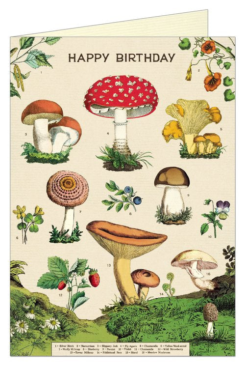 Mushroom Birthday Card