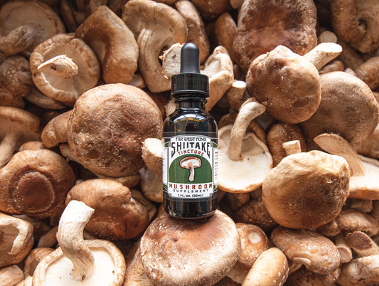 Shiitake mushroom tincture bottle on a bed of dried mushrooms