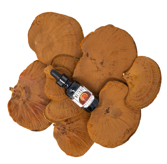 Reishi Tincture