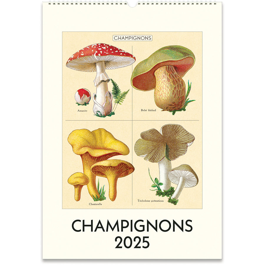 2025 Mushroom Wall Calendar Far West Fungi