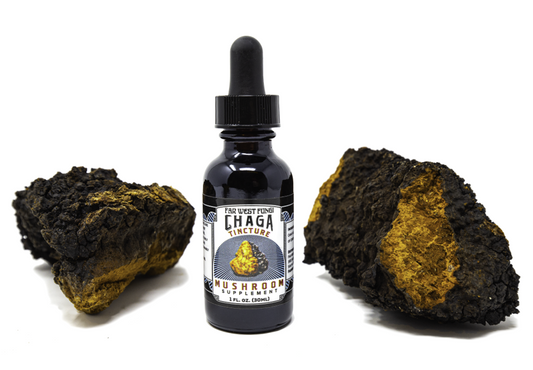 Chaga Tincture