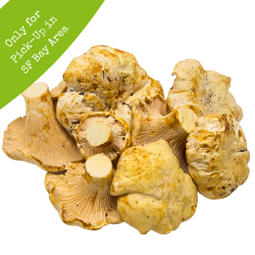 Fresh Chanterelles