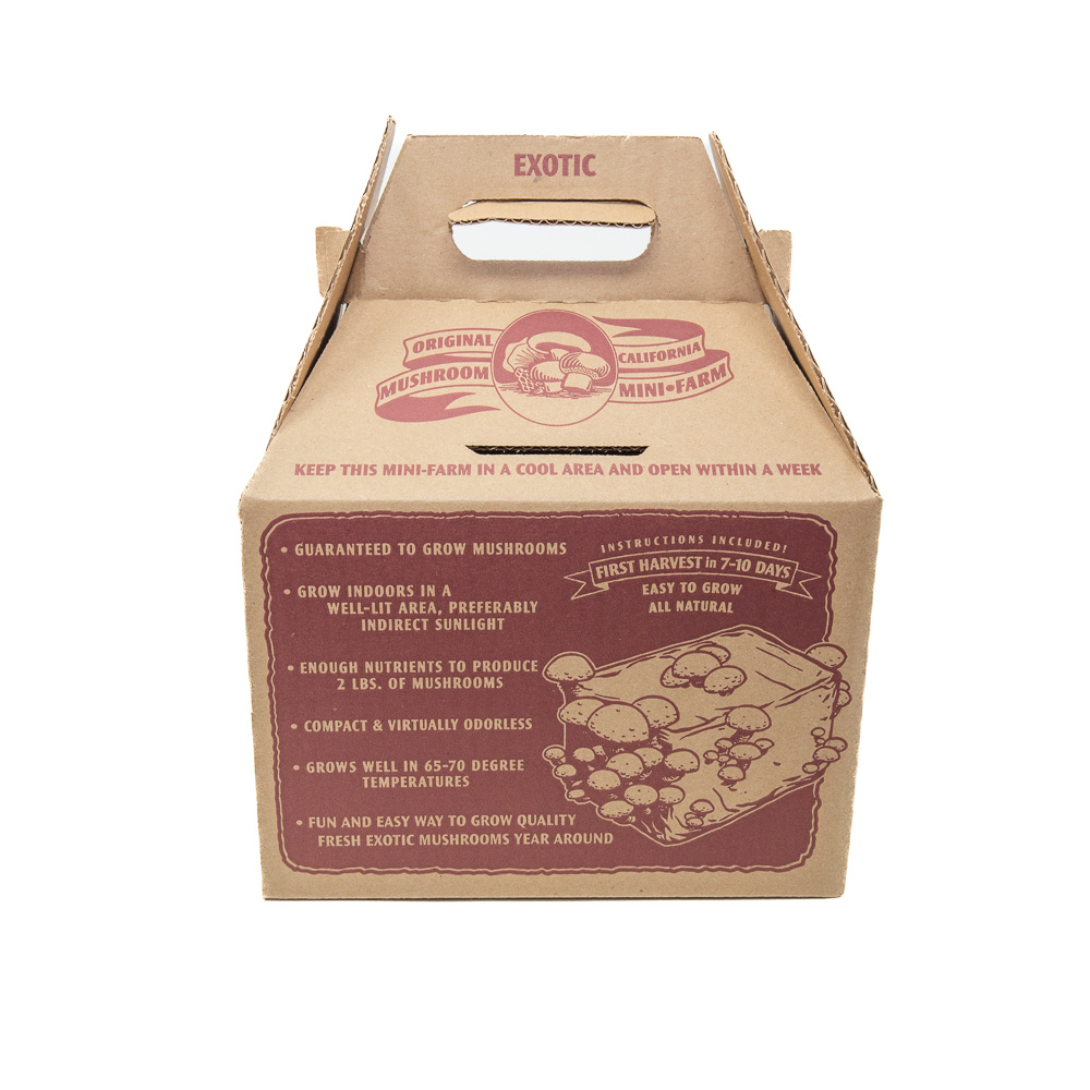 Pink Oyster Mushroom Mini-Farm Grow Kit