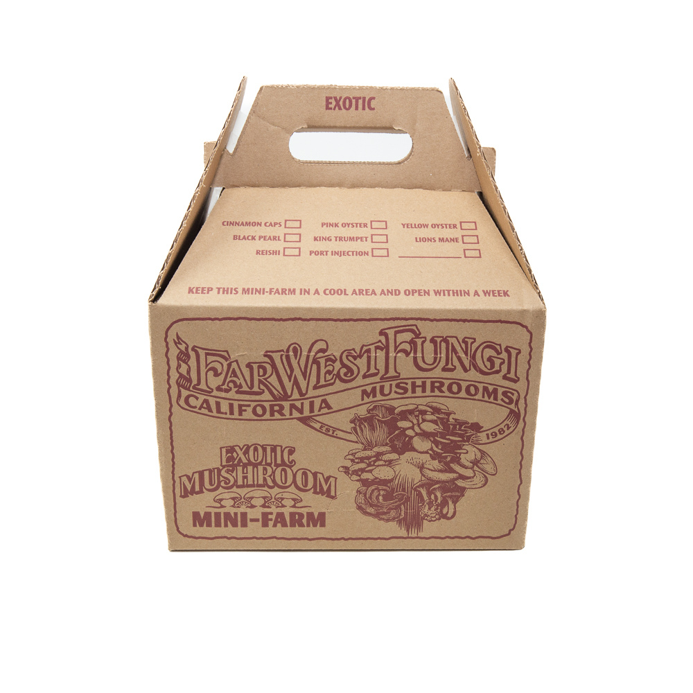 Lion's Mane Mushroom Mini-Farm Grow Kit