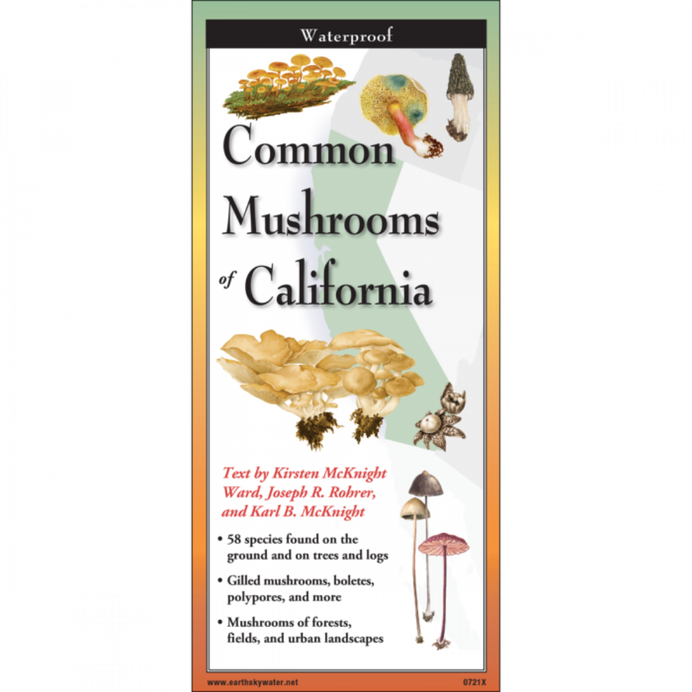 Common Mushrooms of California Folding Guide