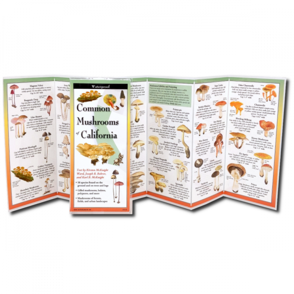 Common Mushrooms of California Folding Guide