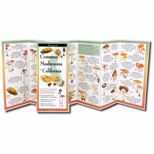 Common Mushrooms of California Folding Guide