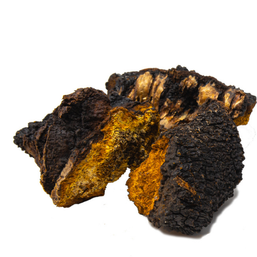 Dried Chaga Chunks
