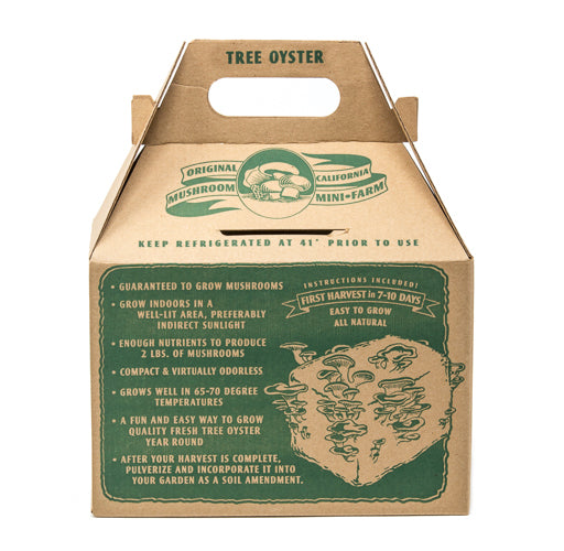 Tree Oyster Mushroom Mini-Farm Grow Kit