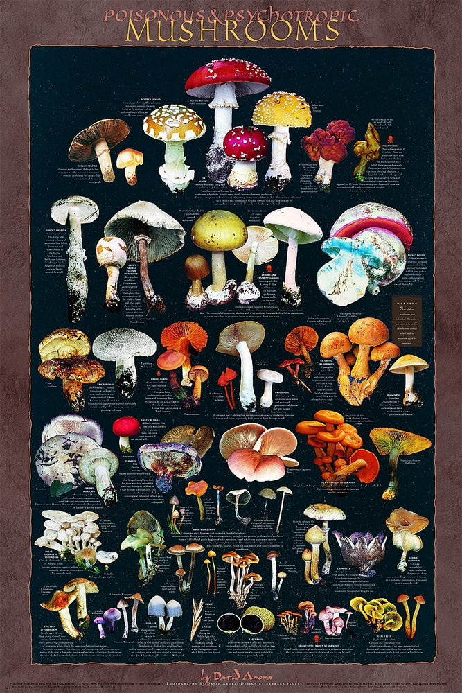 Poisonous Mushroom Poster