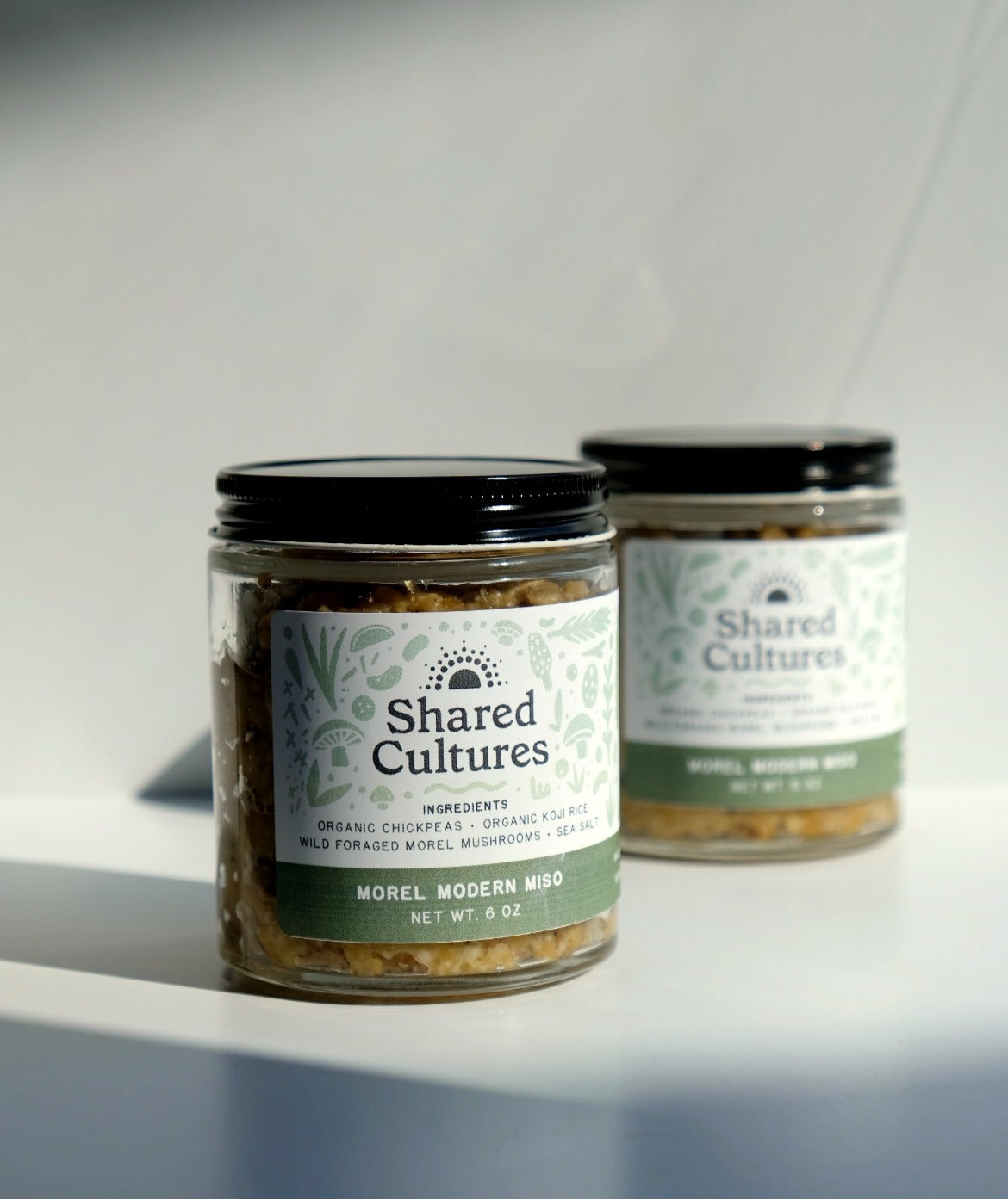 Shared Cultures Morel Miso