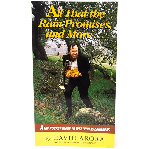 All the Rain Promises and More
