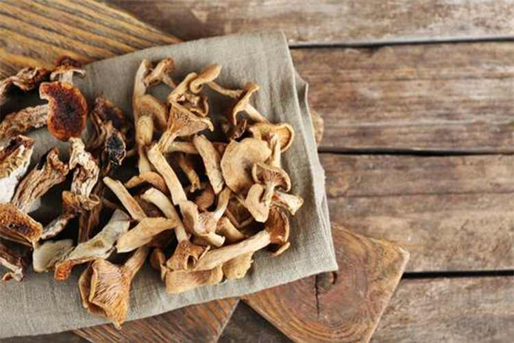 Using Dried Mushrooms