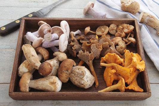 What Grows Together Goes Together: The Seasonality of Wild Mushrooms