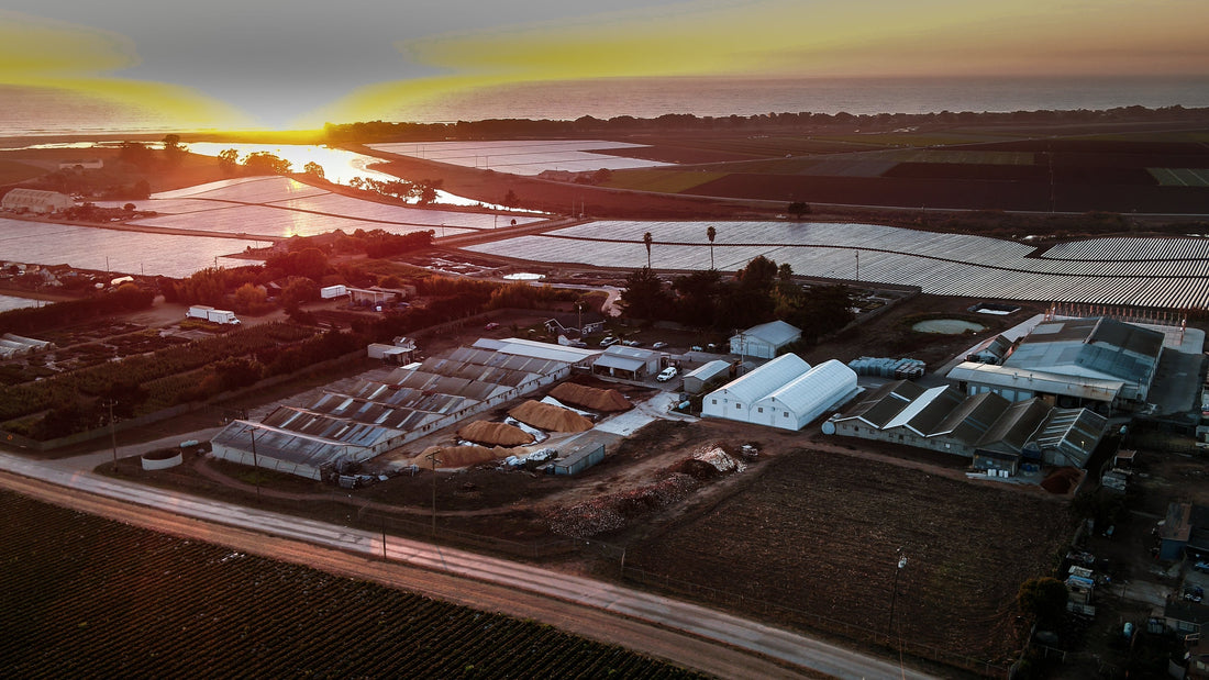 Northern California: How an 8-Acre Bluff Above the Pajaro River Became a Specialty Mushroom Region