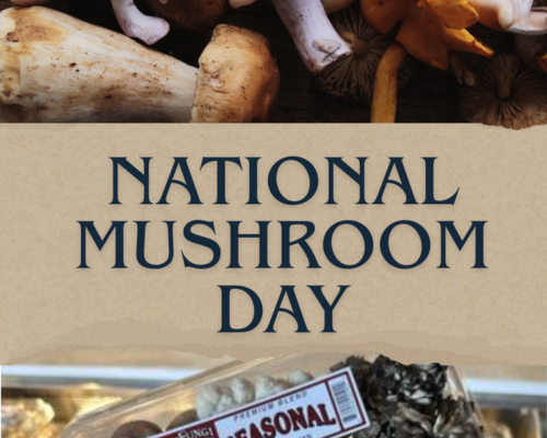 National Mushroom Day: Celebrate With Far West Fungi Online and In Store