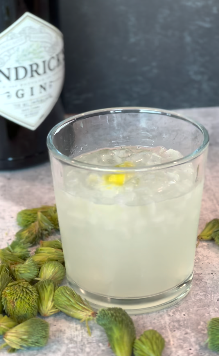 Spruce Tips and Gin