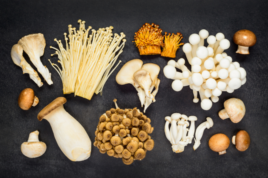 Types of Cultivated Mushrooms: Culinary, Functional & What Makes Them Unique