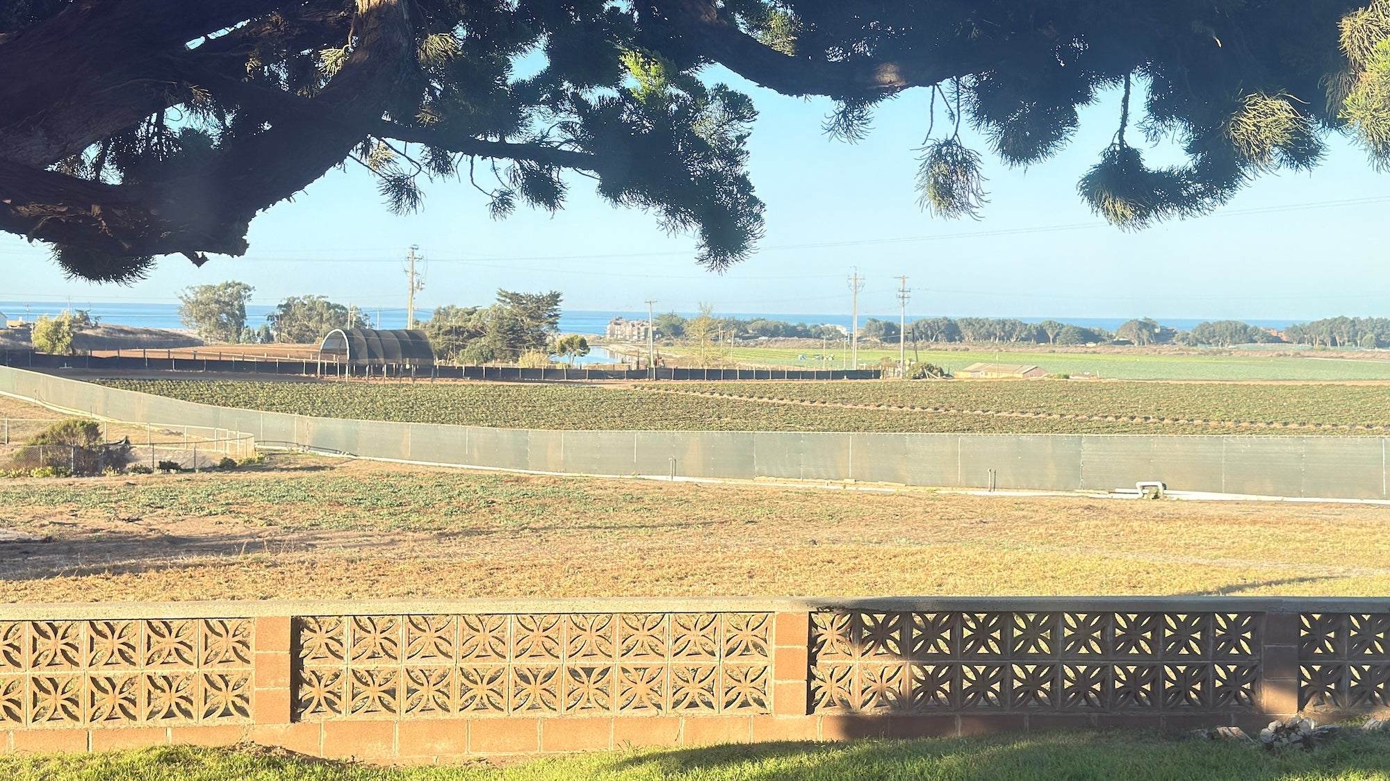 View of the Pacific Ocean from the Far West Fungi grounds on Monterey Bay