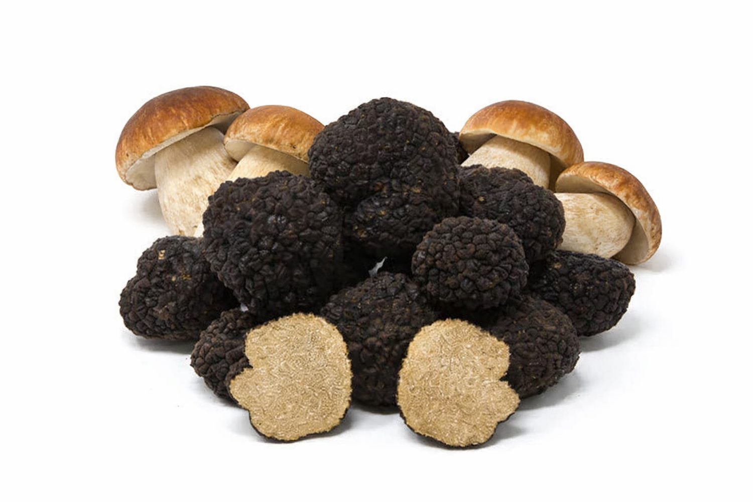 Porcini & Truffle Products