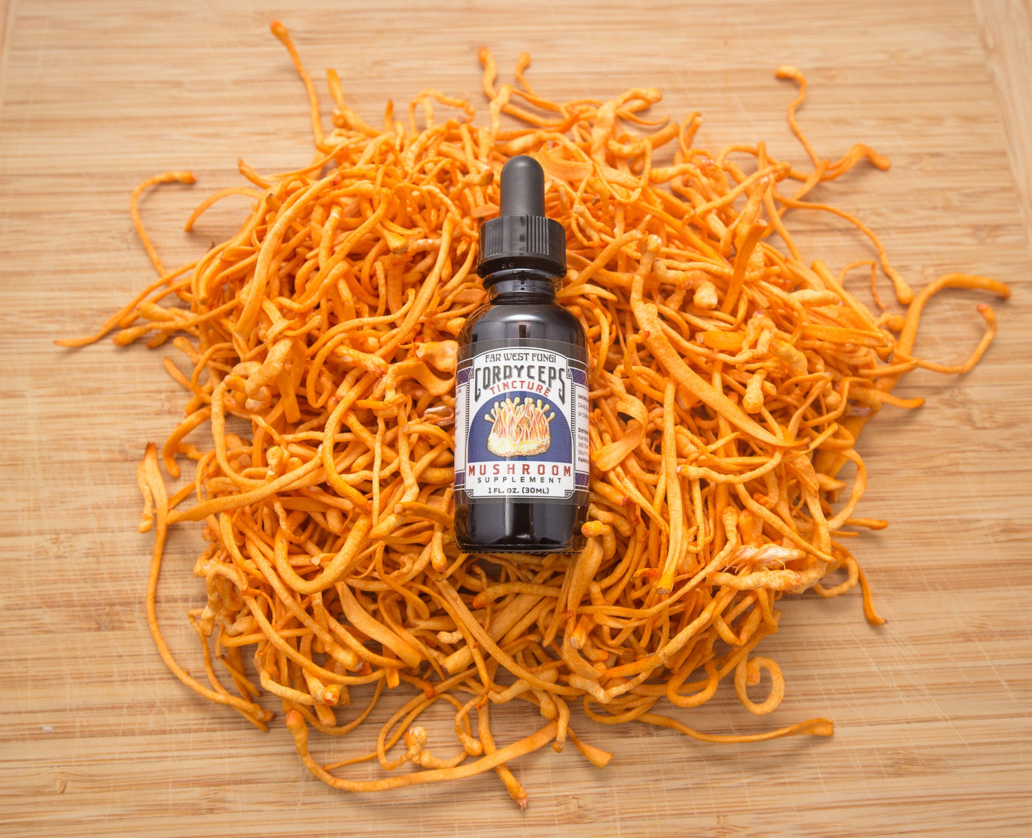Cordyceps Collection