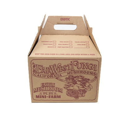 Pioppini Mushroom Mini-Farm Grow Kit