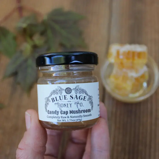 Hand holding a jar of Blue Sage Honey Co. Candy Cap Mushroom honey with a blurred background