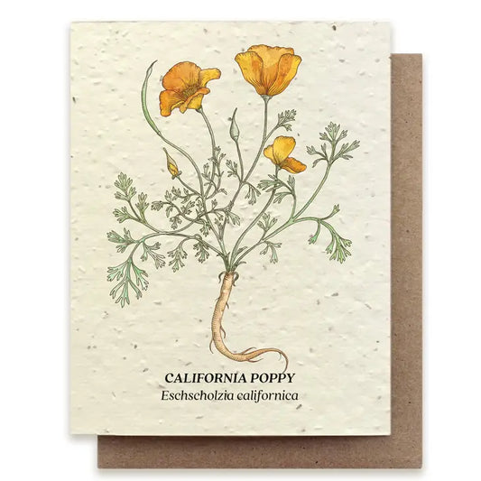 Poppy Plantable Greeting Card