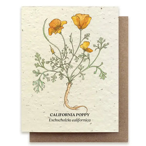 
                  
                    Poppy Plantable Greeting Card
                  
                