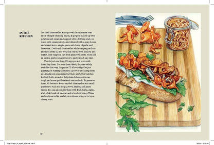Field Notes From A Fungi Forager