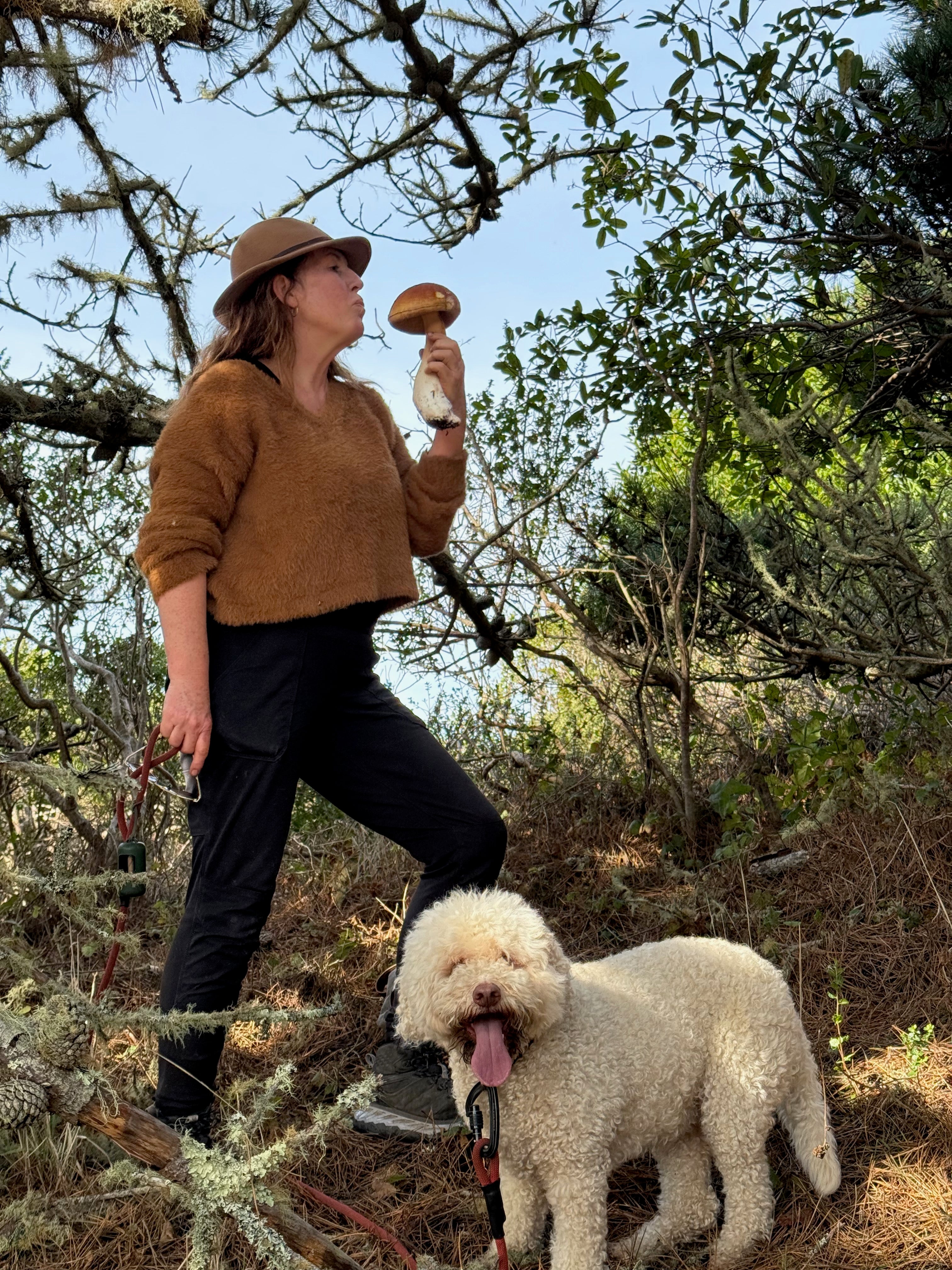 Person holding a mushroom with a dog in a forest setting