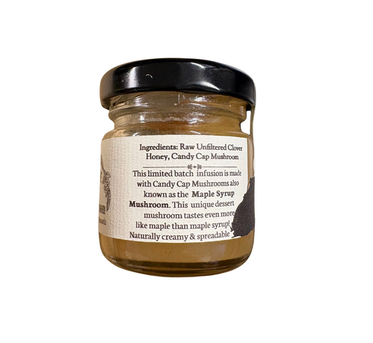Blue Sage Candy Cap Mushroom Infused Honey
