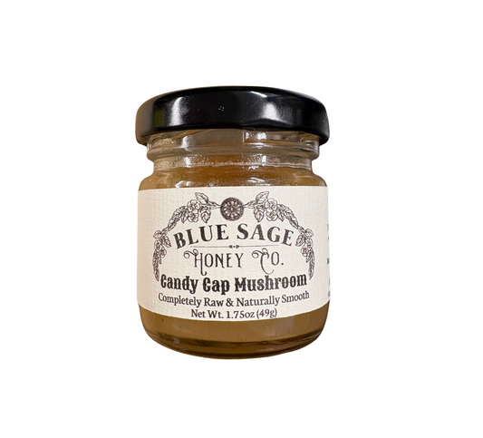 Blue Sage Candy Cap Mushroom Infused Honey