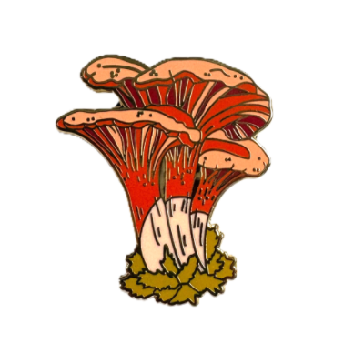 Mushroom Pins-Assorted Varitey