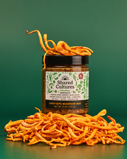 Shared Cultures Cordycep Miso