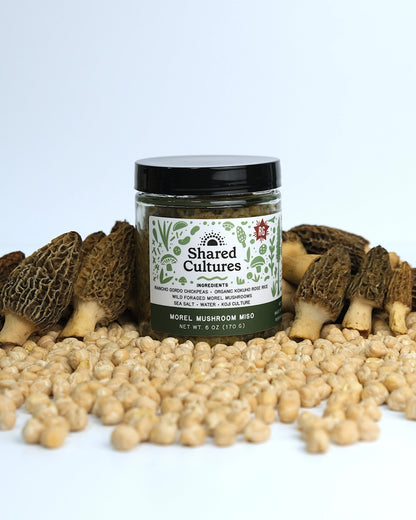 Shared Cultures Morel Miso
