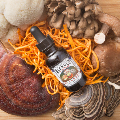 Bottle of Blendtec tincture surrounded by mushrooms and shiitake on a wooden surface