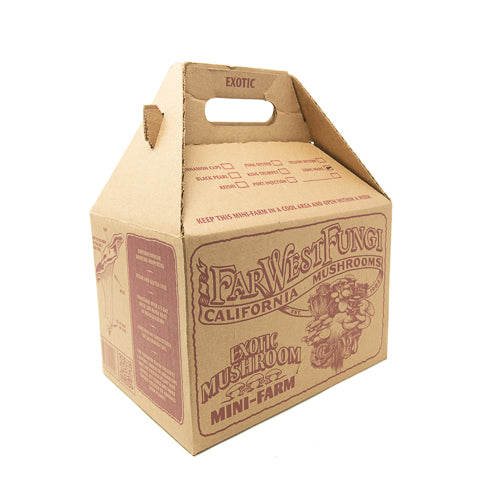Cinnamon Cap Mushroom Mini-Farm Grow Kit