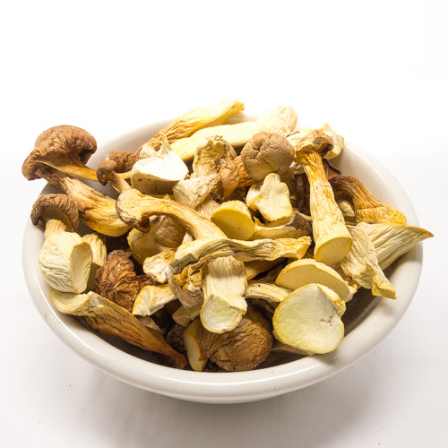 Dried mushrooms in a white bowl on a white background