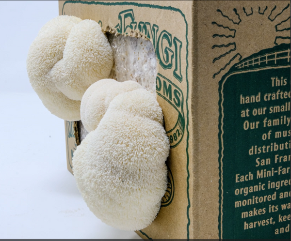 Three white textured balls on a cardboard box with text