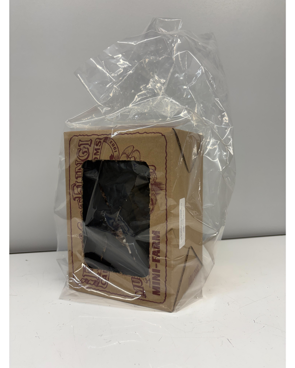 Product in a clear plastic bag with a cardboard label on a white surface.