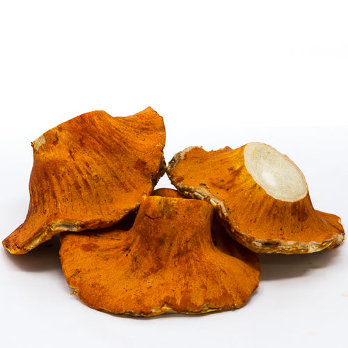 Three dried orange-brown mushrooms on a white background