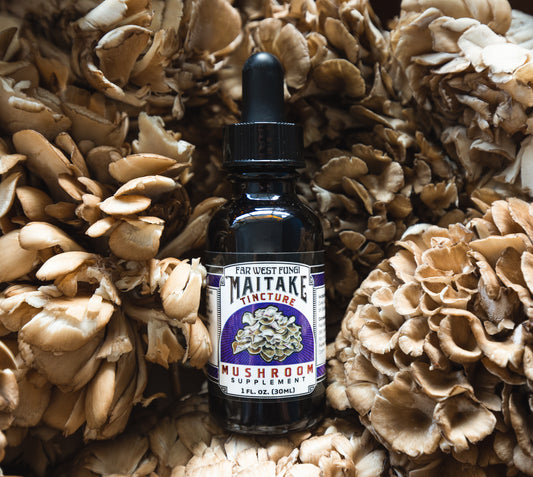 Bottle of Maitake mushroom supplement surrounded by maitake mushrooms