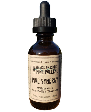 
                  
                    PINE SYNERGY TINCTURE
                  
                