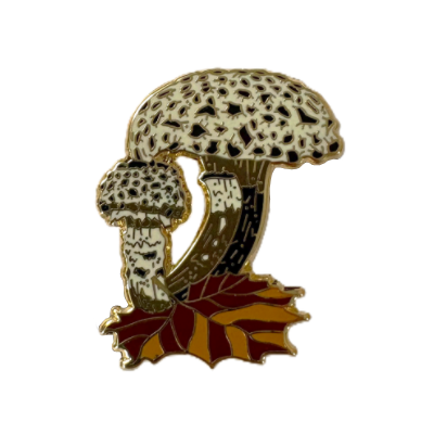 Mushroom Pins-Assorted Varitey