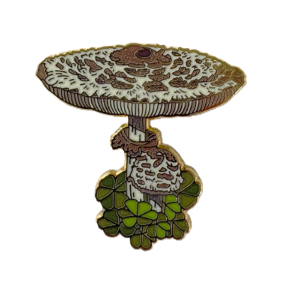 Mushroom Pins-Assorted Varitey