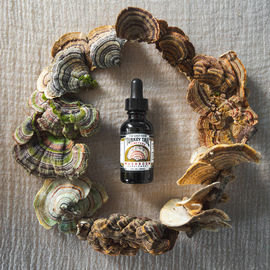 Turmeric root with a bottle of tincture on a textured surface