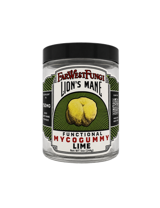 Lion's Mane Lime Myco Gummy 24 Pack